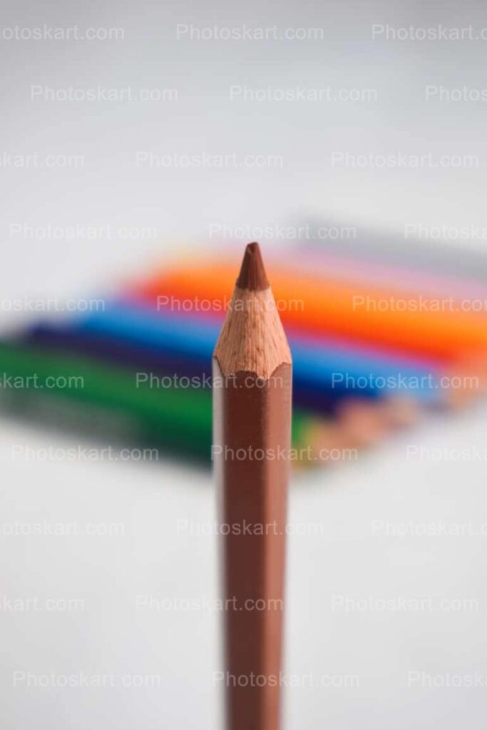 Brown Color Pencil On White Background