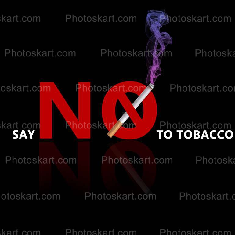 Say No To Tobacco Free Vector