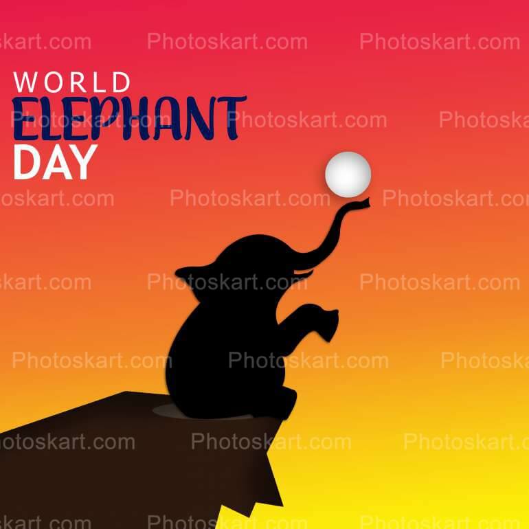 World Elephant Day With A Elephant