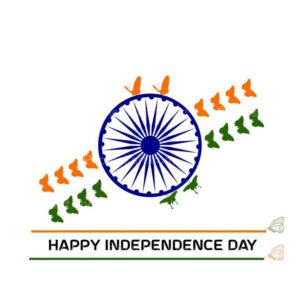 indian flag in butterfly 15th august vector