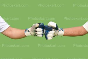 two cricket players wearing hand gloves image